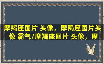 摩羯座图片 头像，摩羯座图片头像 霸气/摩羯座图片 头像，摩羯座图片头像 霸气-我的网站